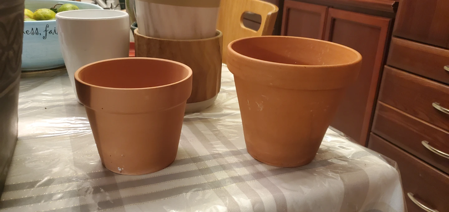 Terracotta Flower Pots