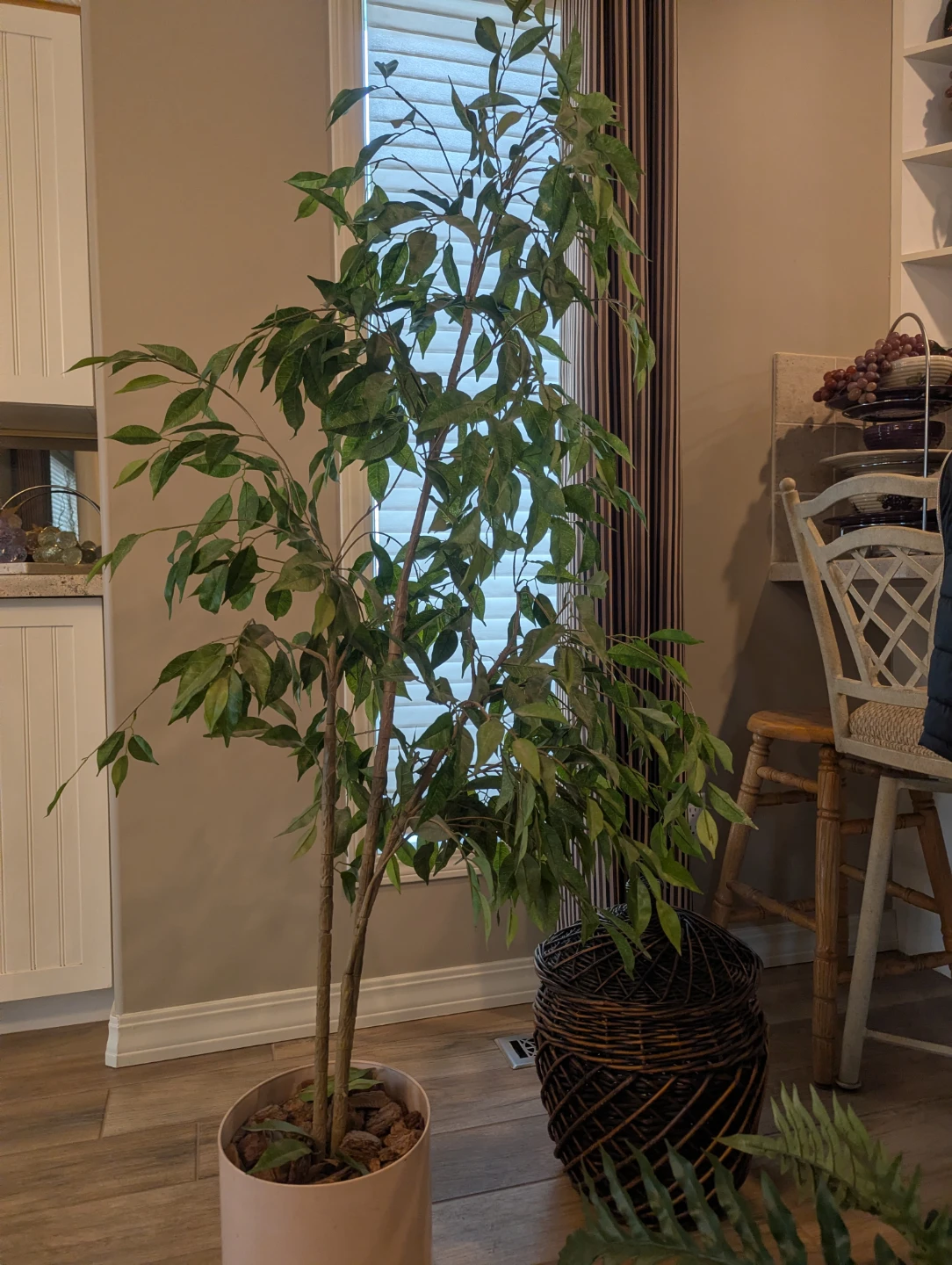 Artificial Ficus Tree in Planter