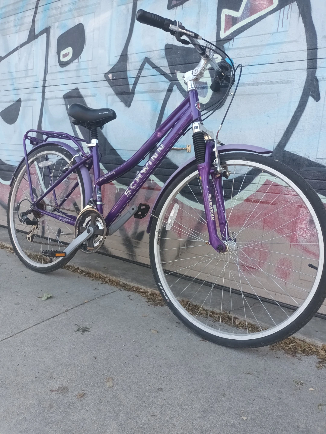 Schwinn Bike - photo 2