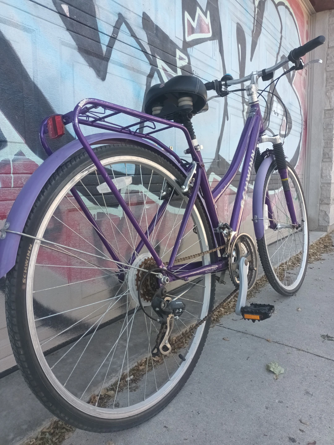 Schwinn Bike - photo 3