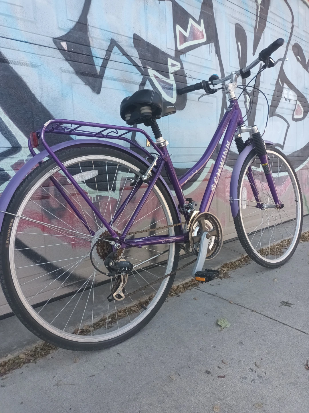 Schwinn Bike - photo 4