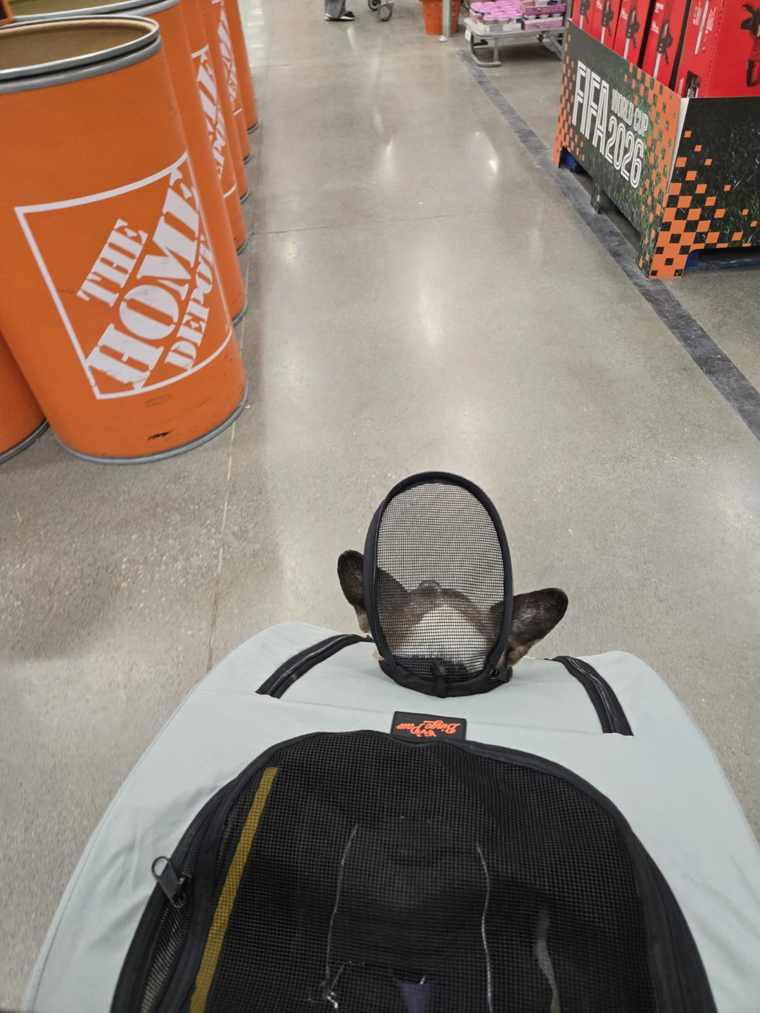 Doggie Stroller - photo 4