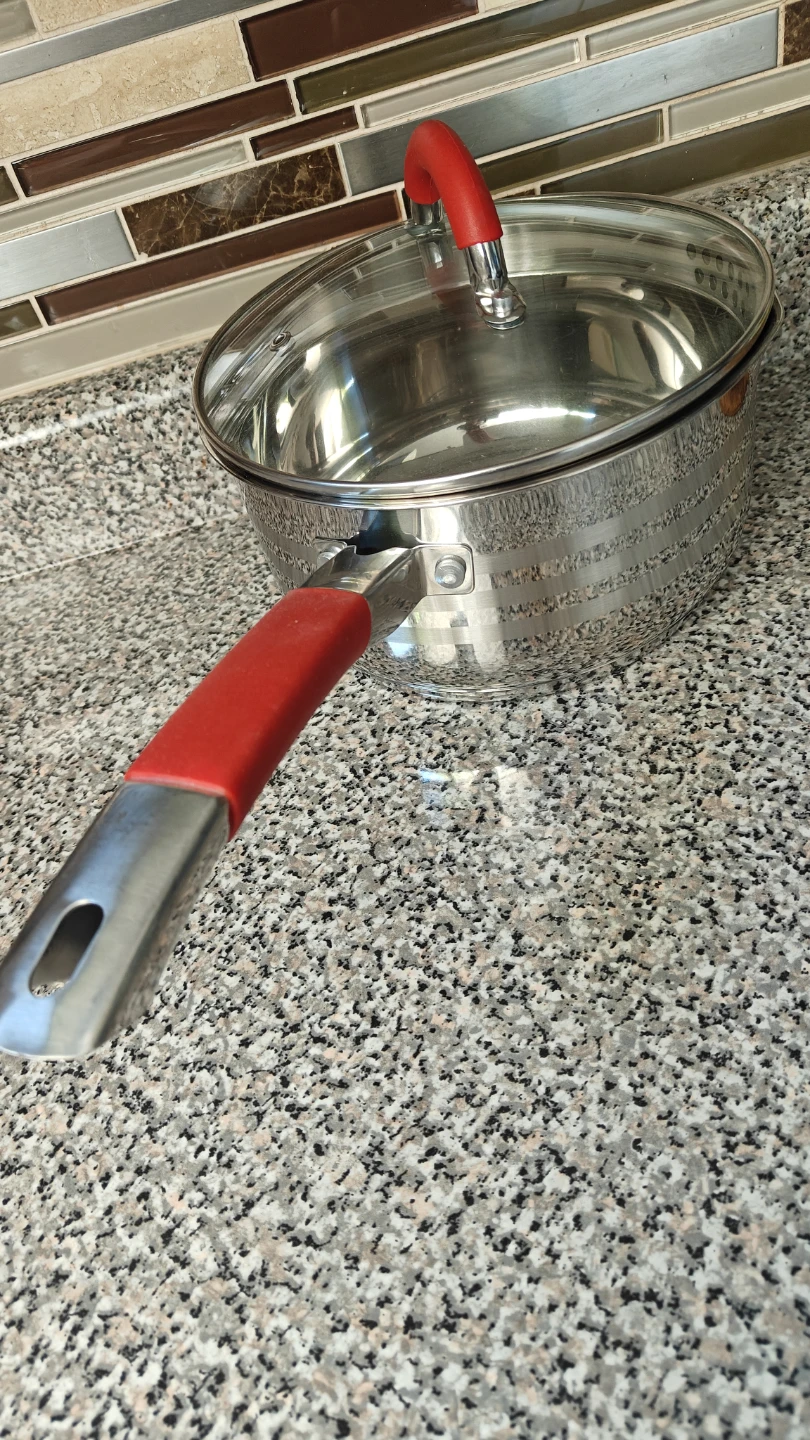 Stainless Steel Saucepan with Lid