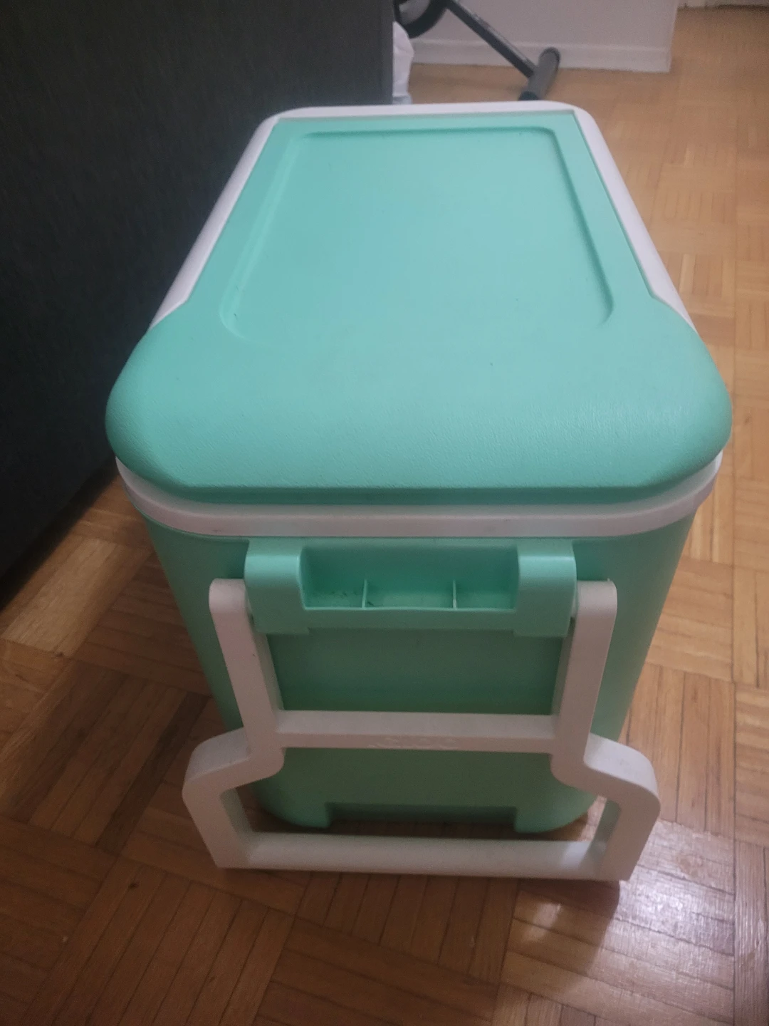 Igloo Cooler - Green & White - photo 2