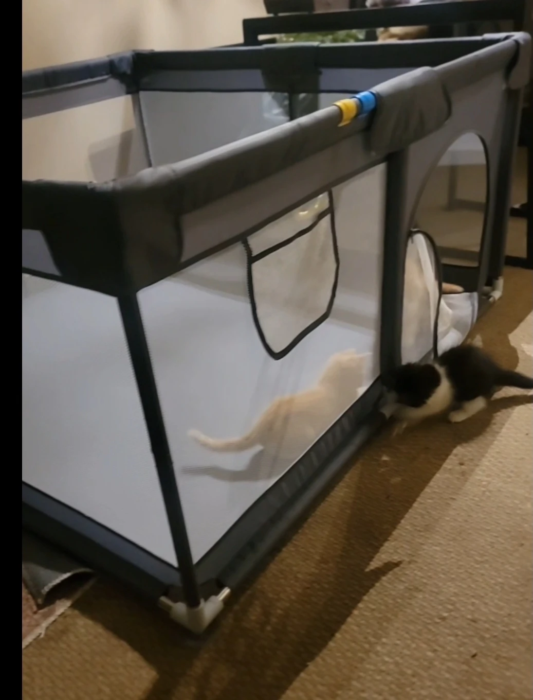 Baby Playpen