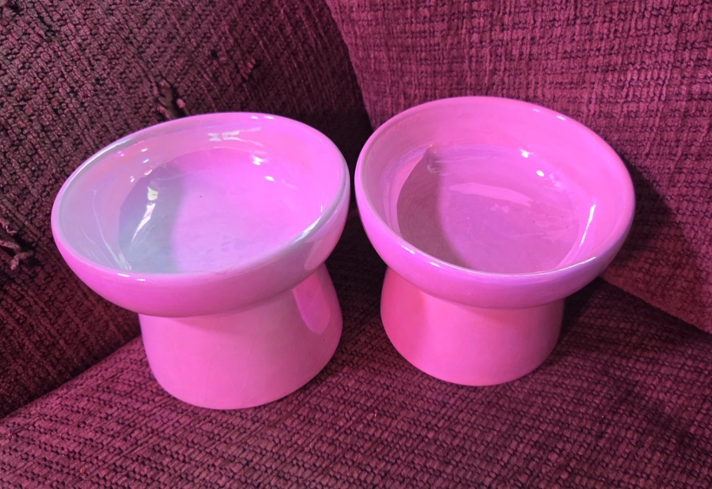 Elevated Cat Bowls Set