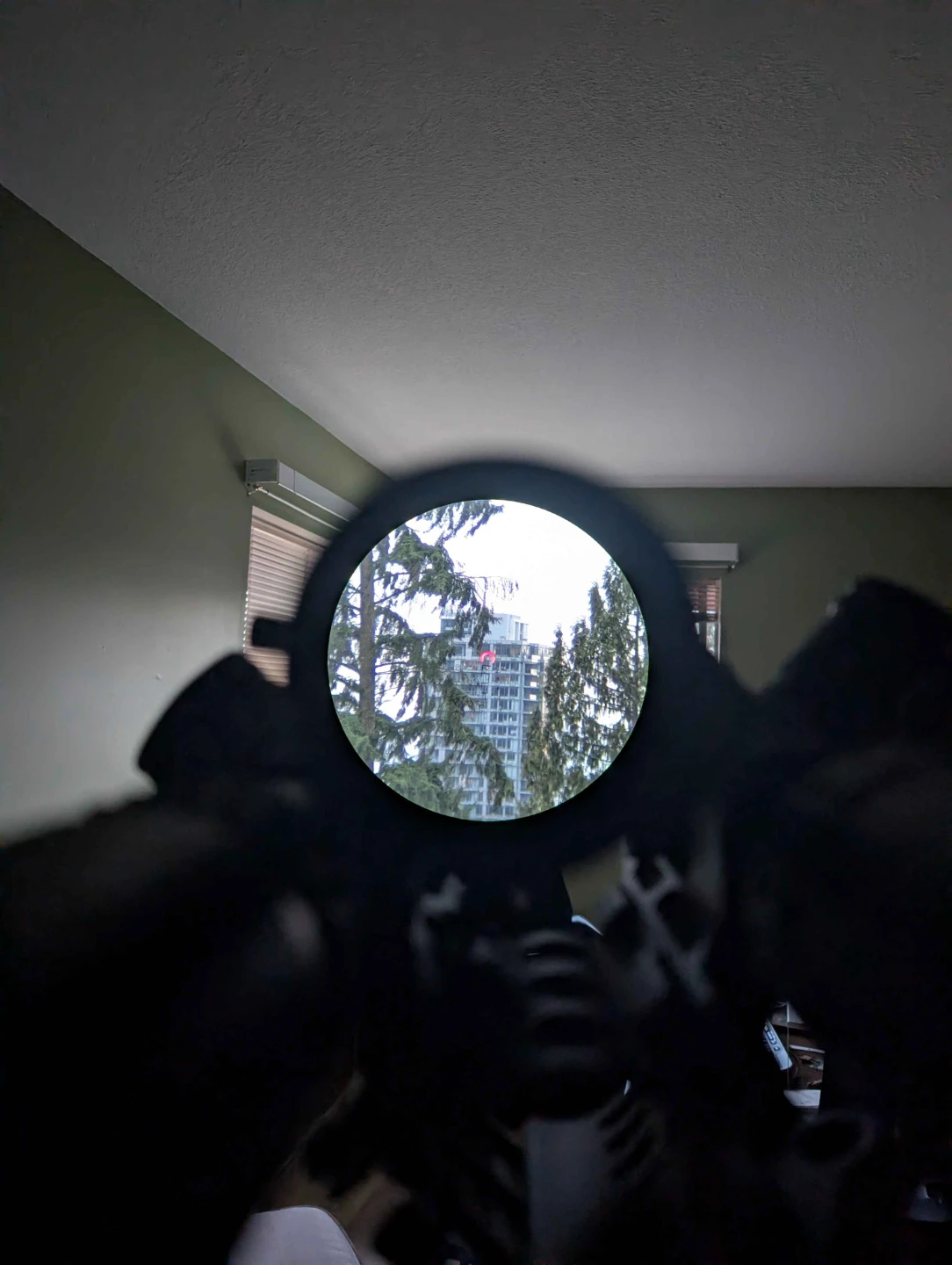 Arken Optics EP8 1-8 LPVO - photo 3