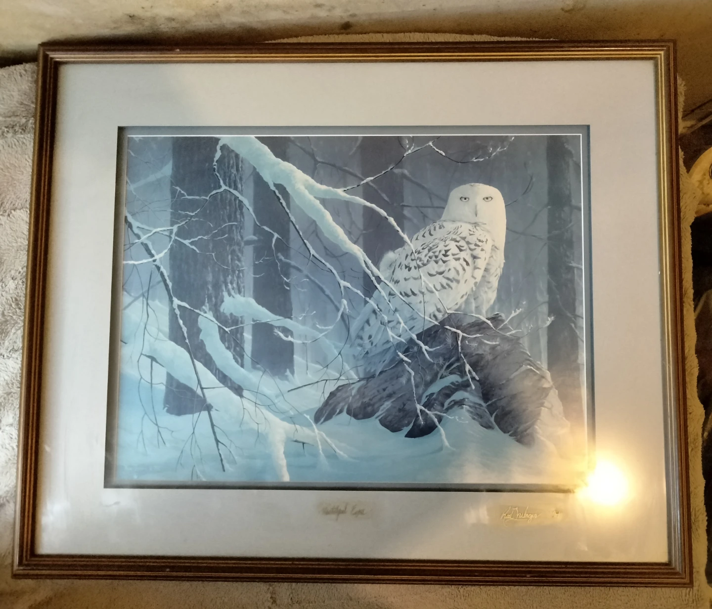 "Watchful Eyes" Signed Art Print by Rod Tribiger