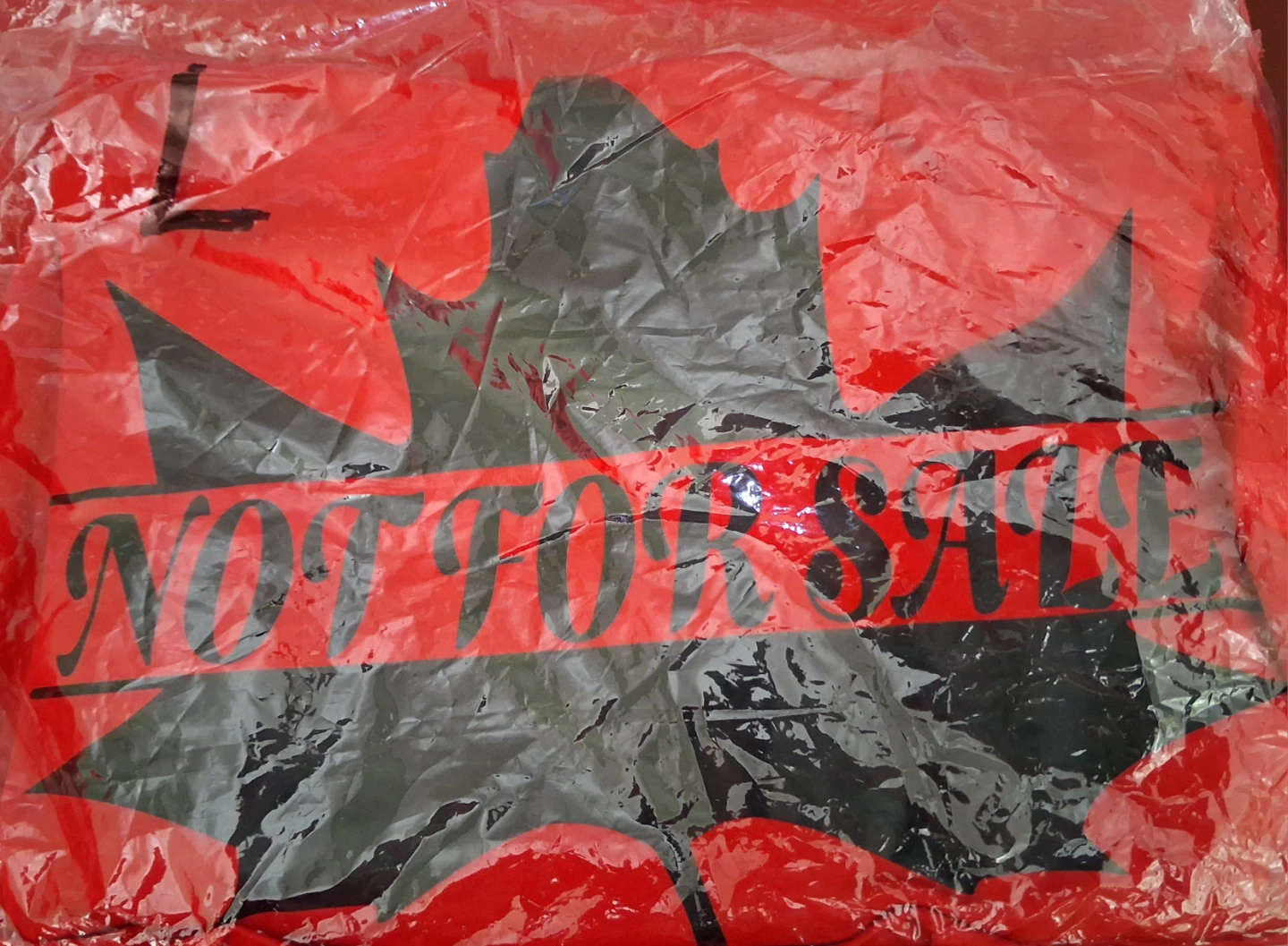 Canada Day tee-Shirt - photo 3