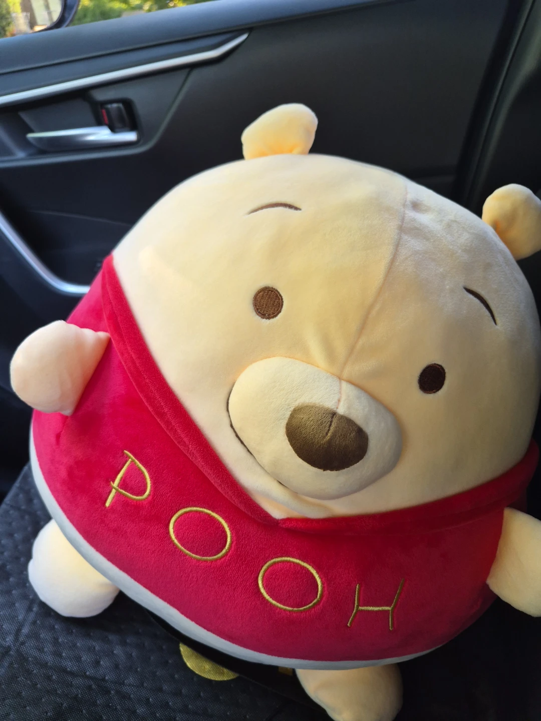 Disney Winnie the Pooh Plush Toy