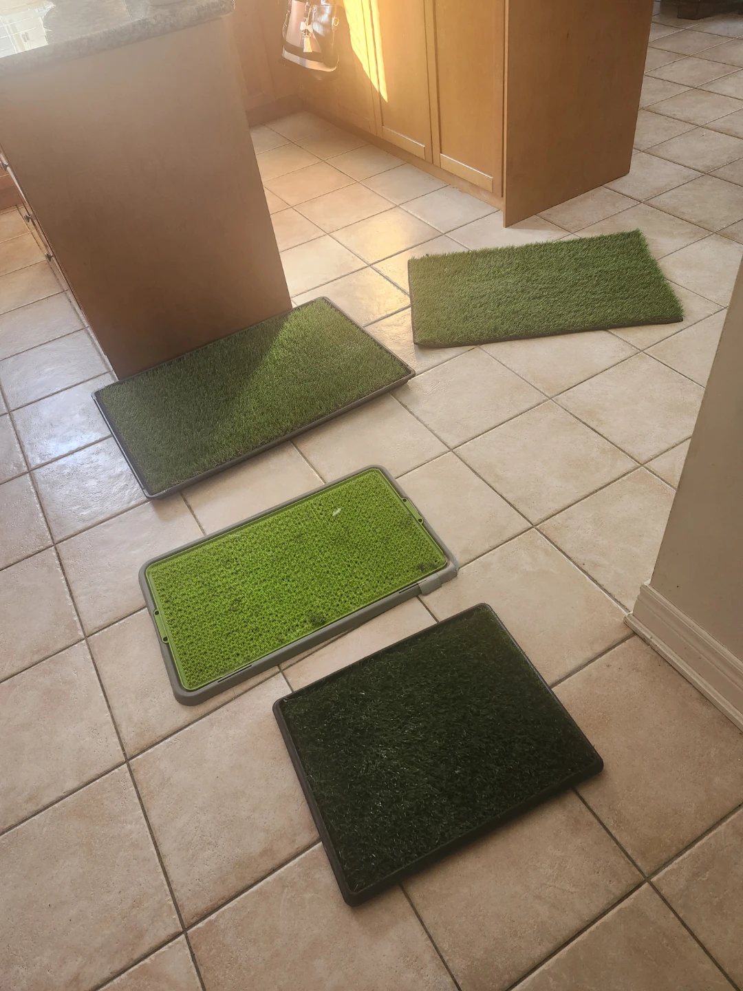 Three Artificial Grass Pee Pads for Pets