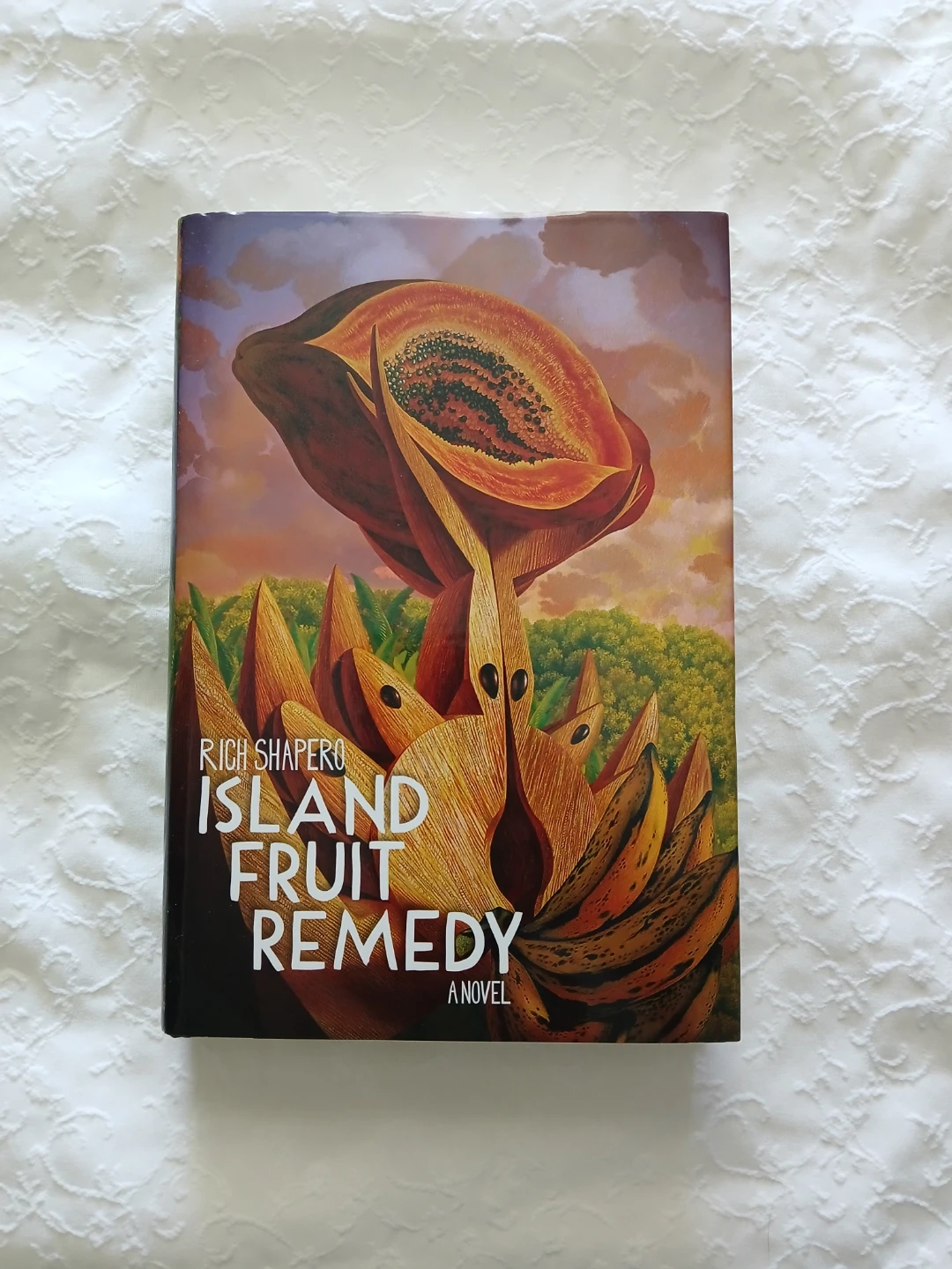 Island Fruit Remedy: A Novel by Rich Shapero ⚽