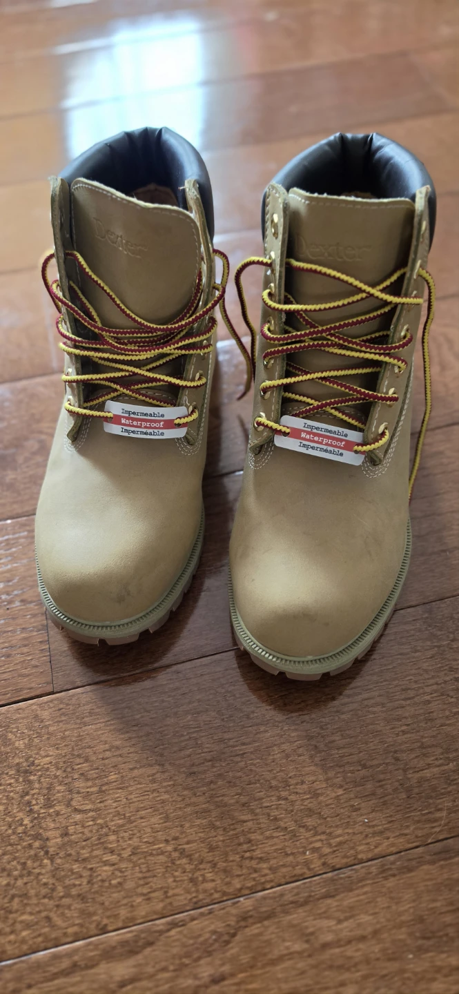 Dexter Waterproof Work Boots