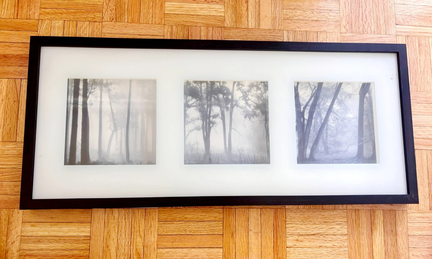Framed Triptych Art Print - Misty Forest