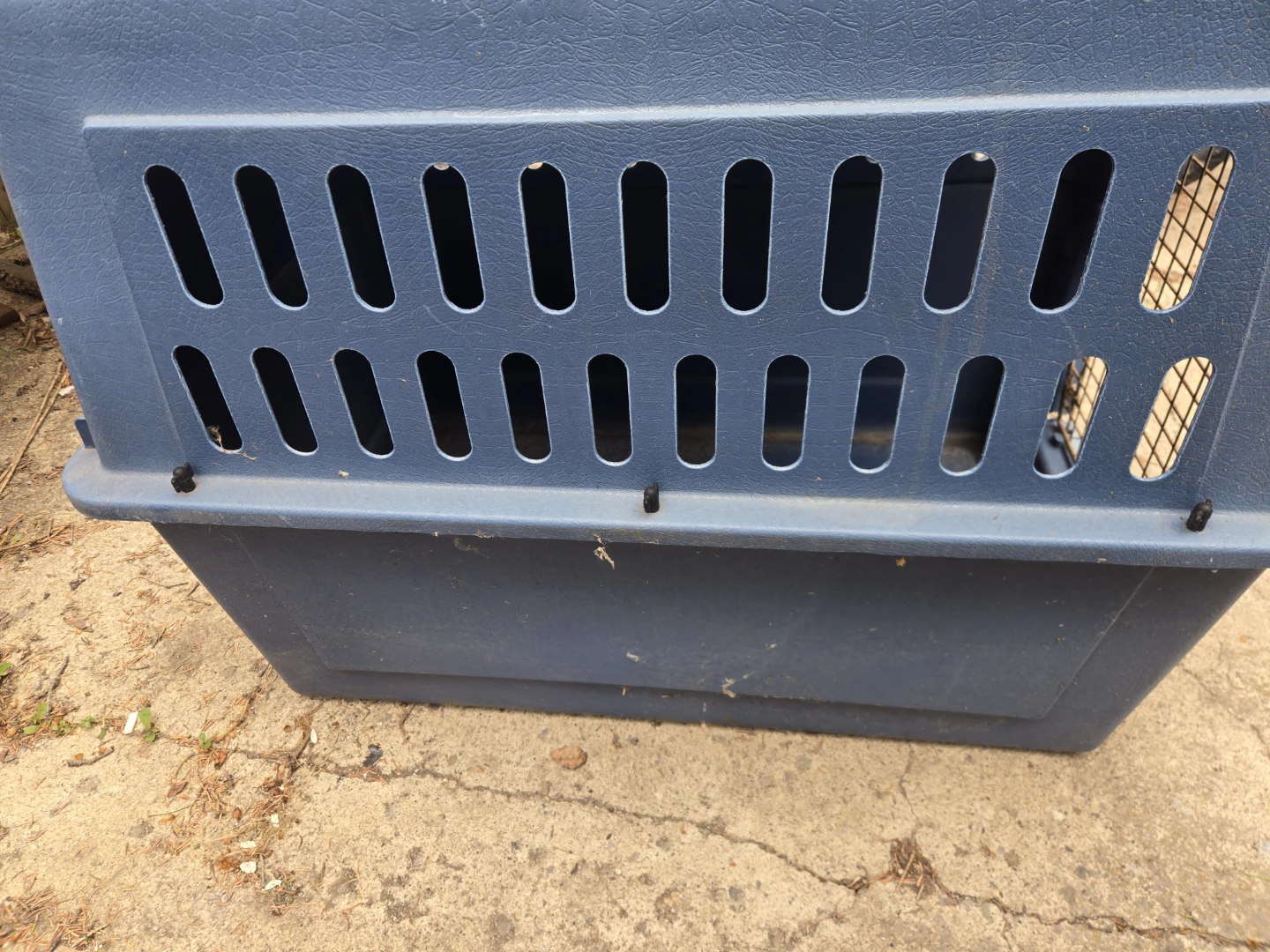 Blue Pet Carrier Crate - photo 3