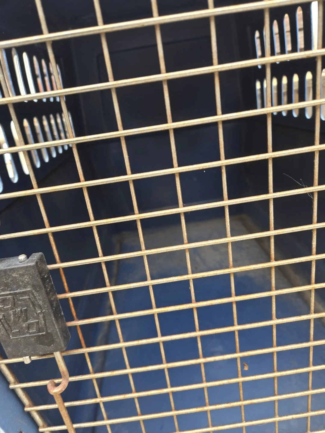 Blue Pet Carrier Crate - photo 4