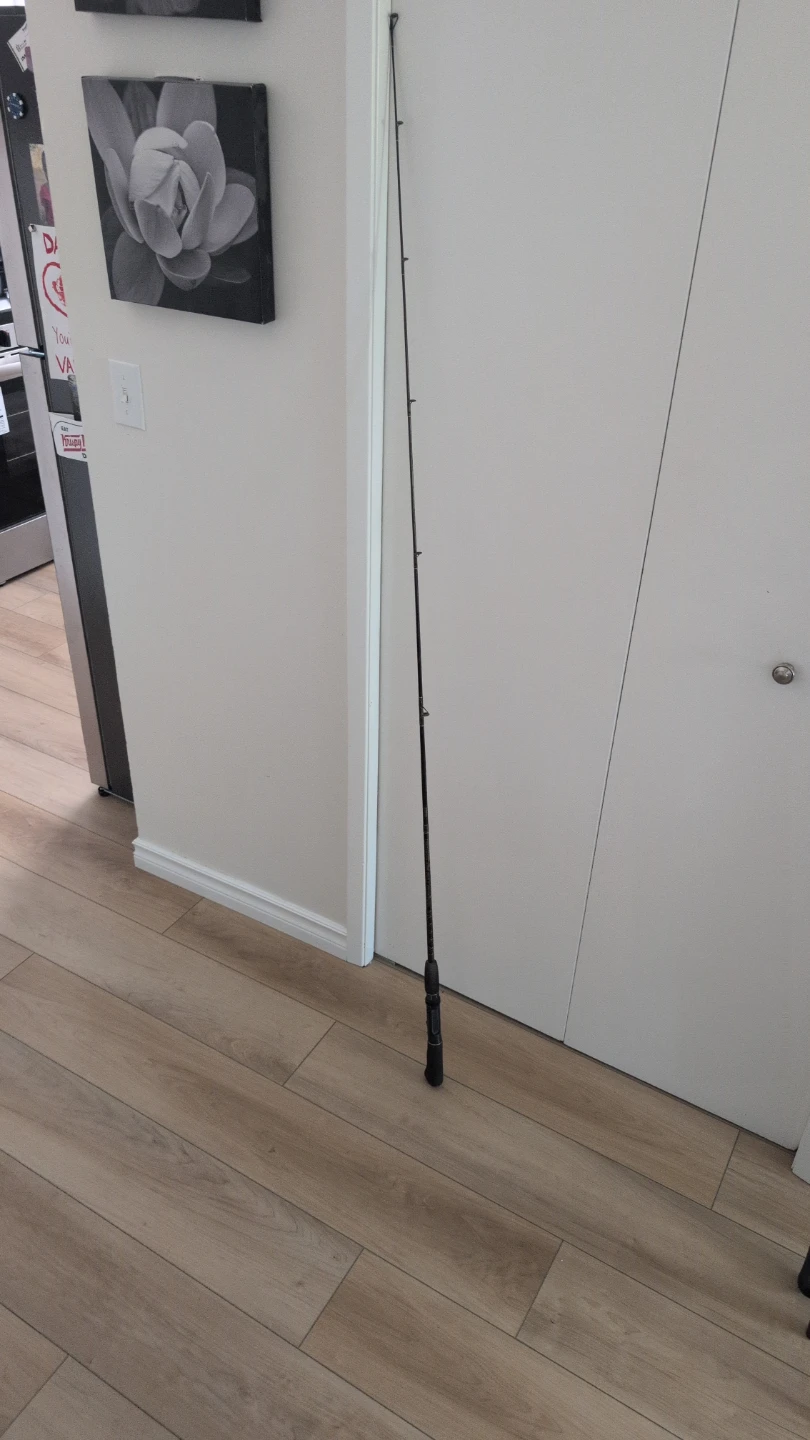 Graphite Plus Fishing Rod Model 8025