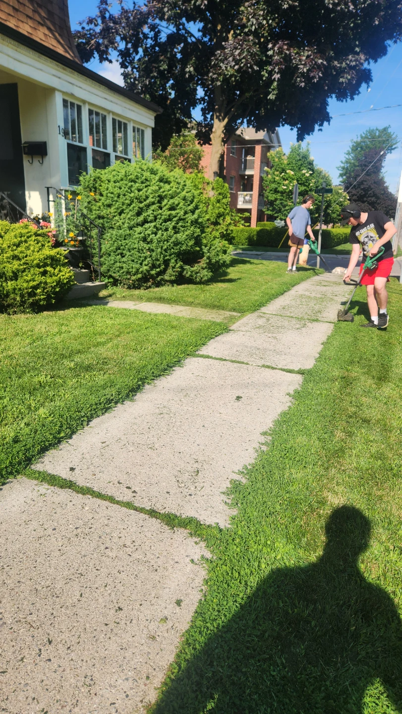 Lawn mowing north and central St thomas