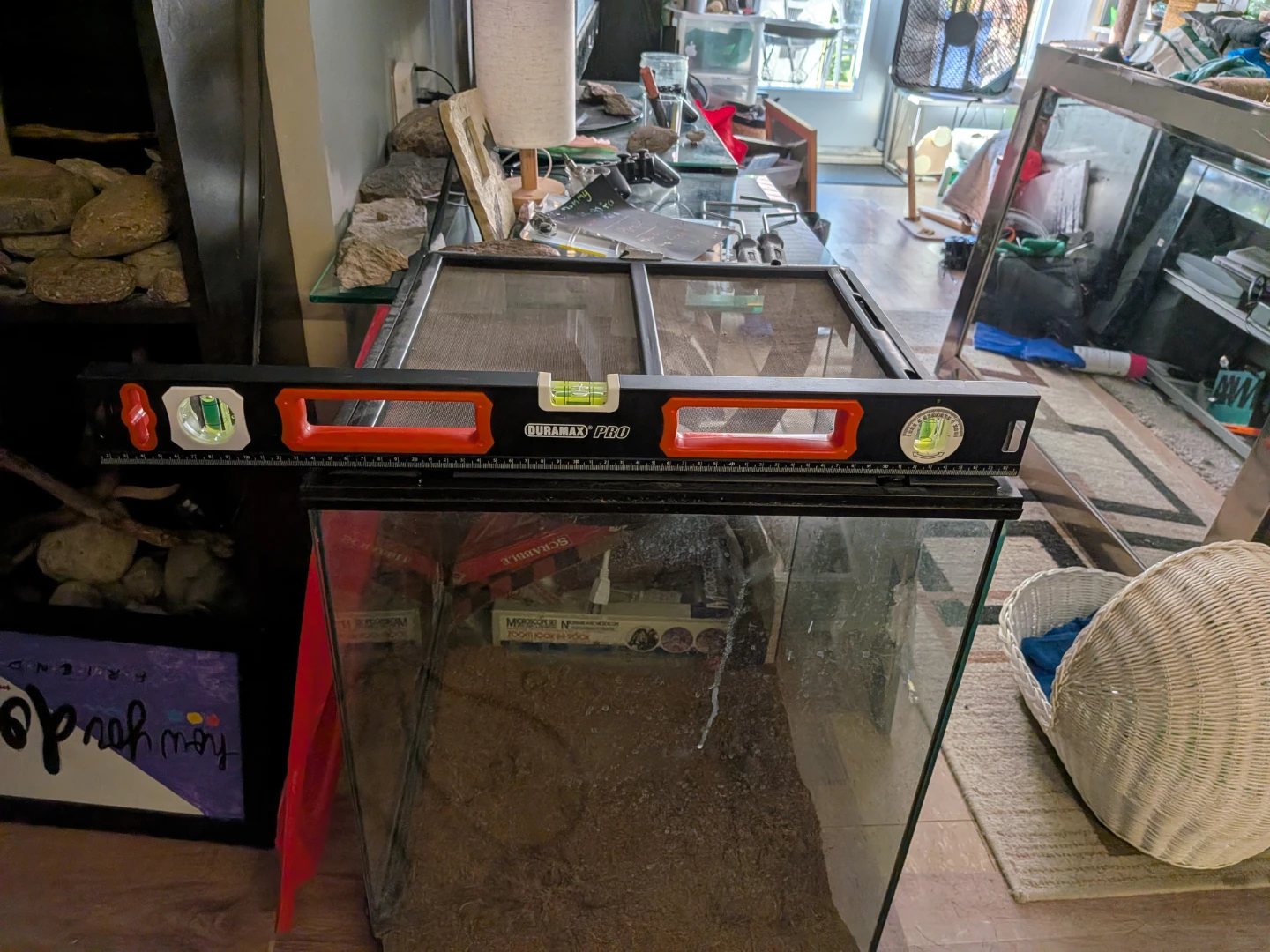 Terrarium with Screen Lid - photo 4