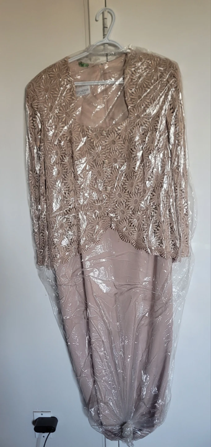 Beige Lace Overlay Dress with Matching Jacket