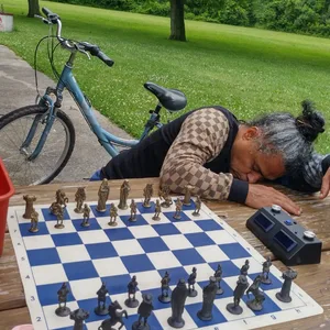 Vintage Chess Set with Metal Pieces Rubber Board