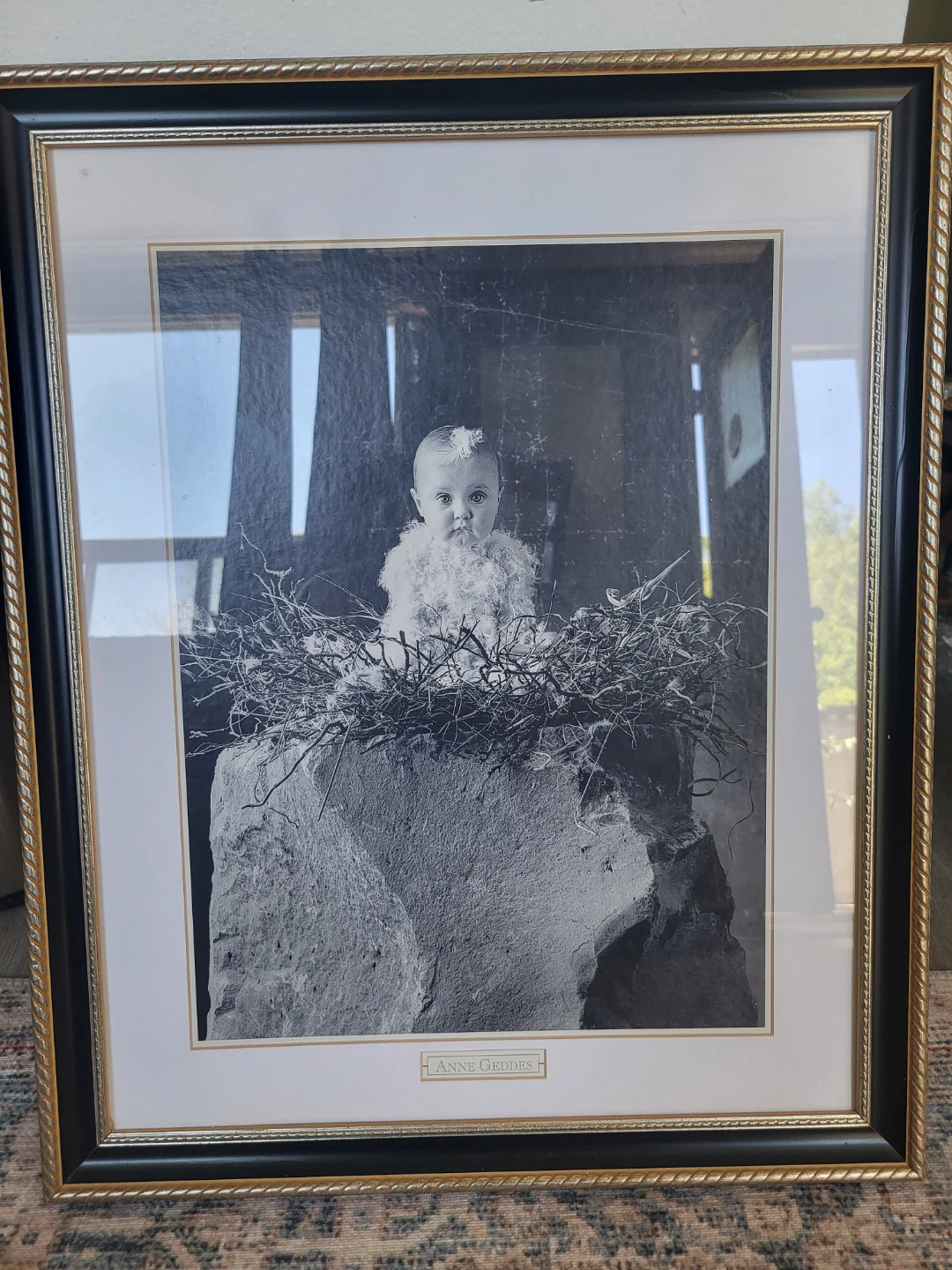 Anne Geddes Framed Photo Print of Baby