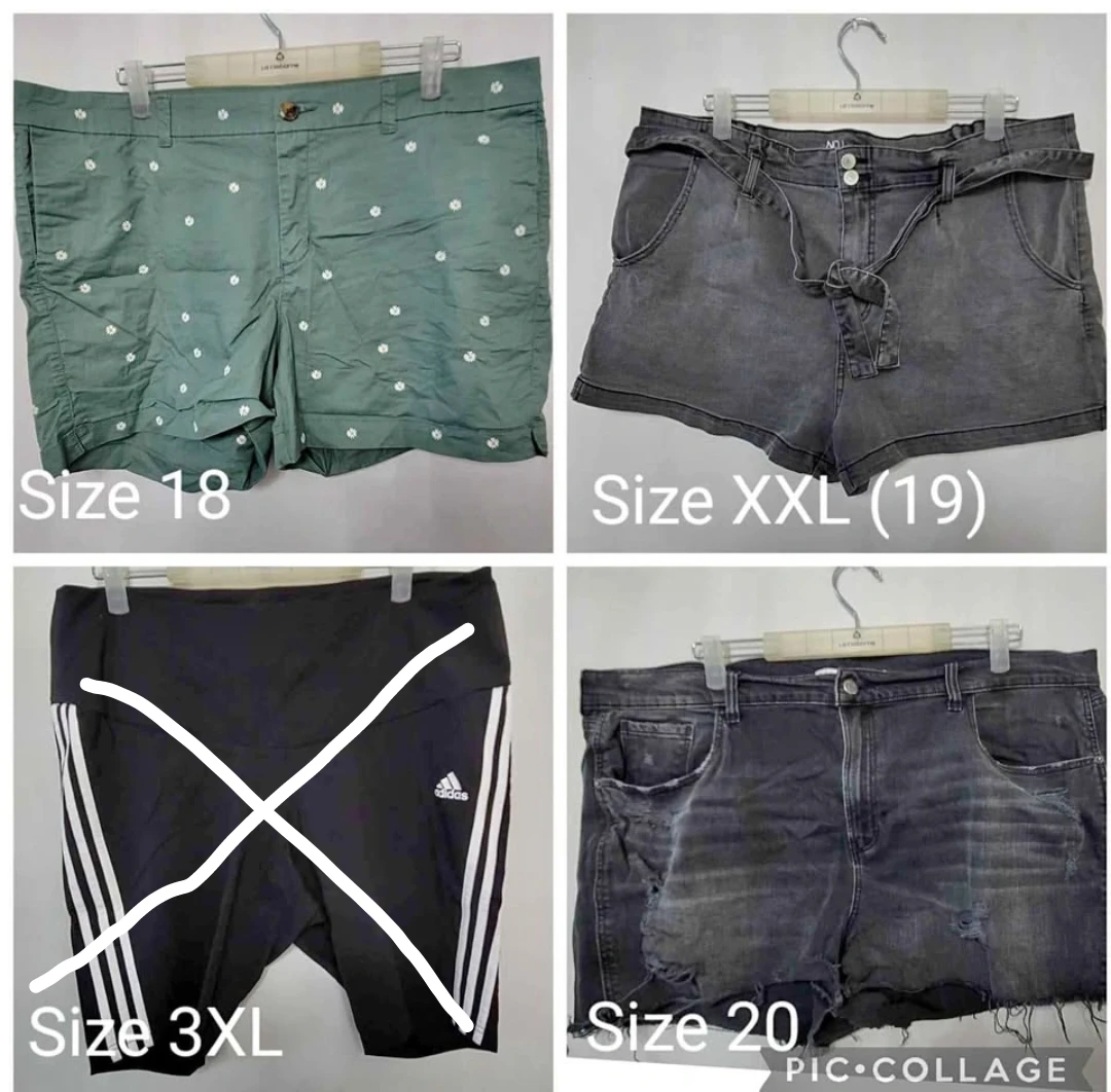 Women's Shorts Size 18-20