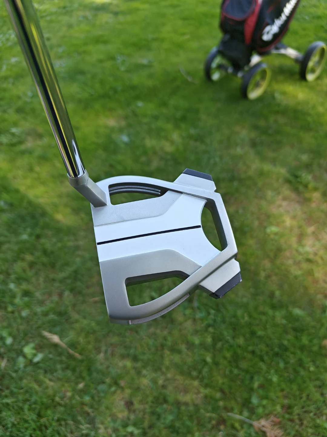 TaylorMade Spider X Putter - photo 3