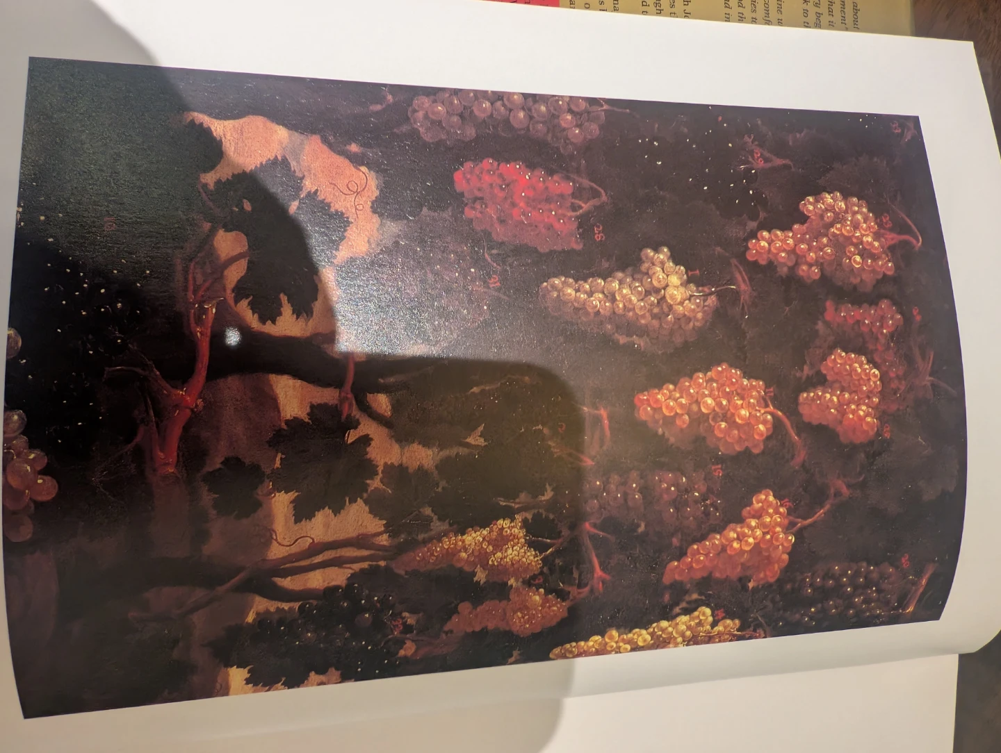 Hugh Johnson's Story of Wine Book - photo 4