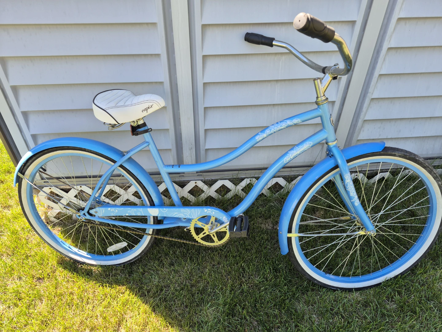 Blue Cruiser Bicycle with White Seat