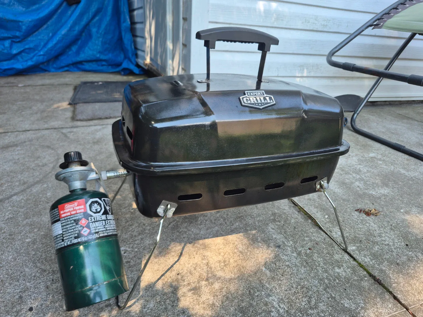 Expert Grill Portable Propane Grill