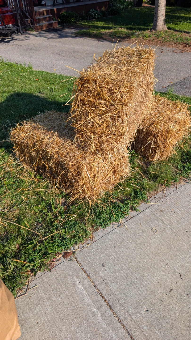 Straw bales (3) in Peterborough