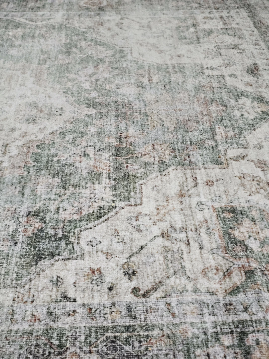 Area Rug - photo 4