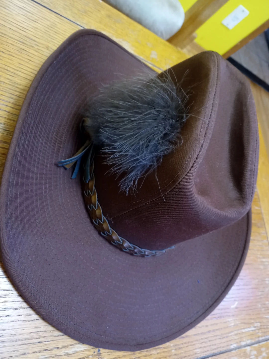 Brown Cowboy Hat with Feather Accent