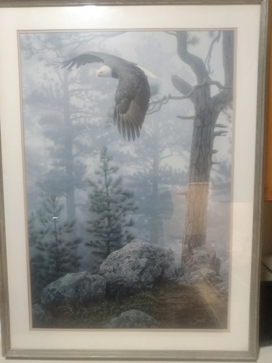 Framed Bald Eagle Art Print
