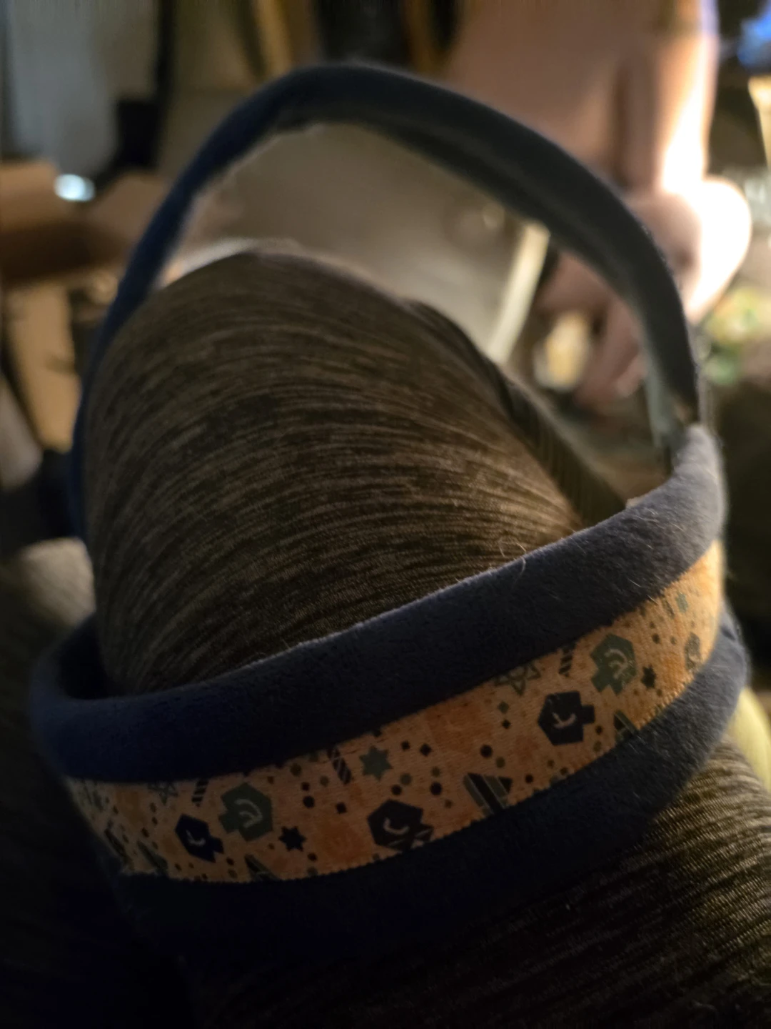 Dog harness
