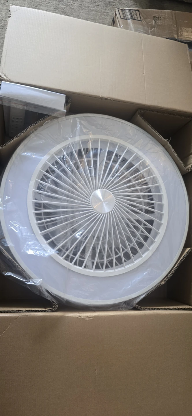 White Flush Mount Ceiling Fan with LED Light