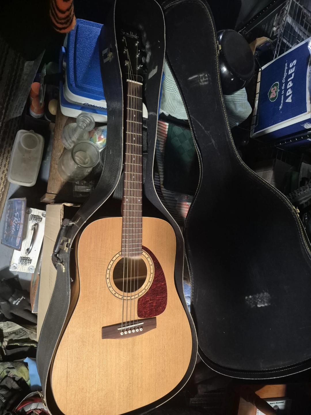 Simon & Patrick Acoustic Guitar with Case