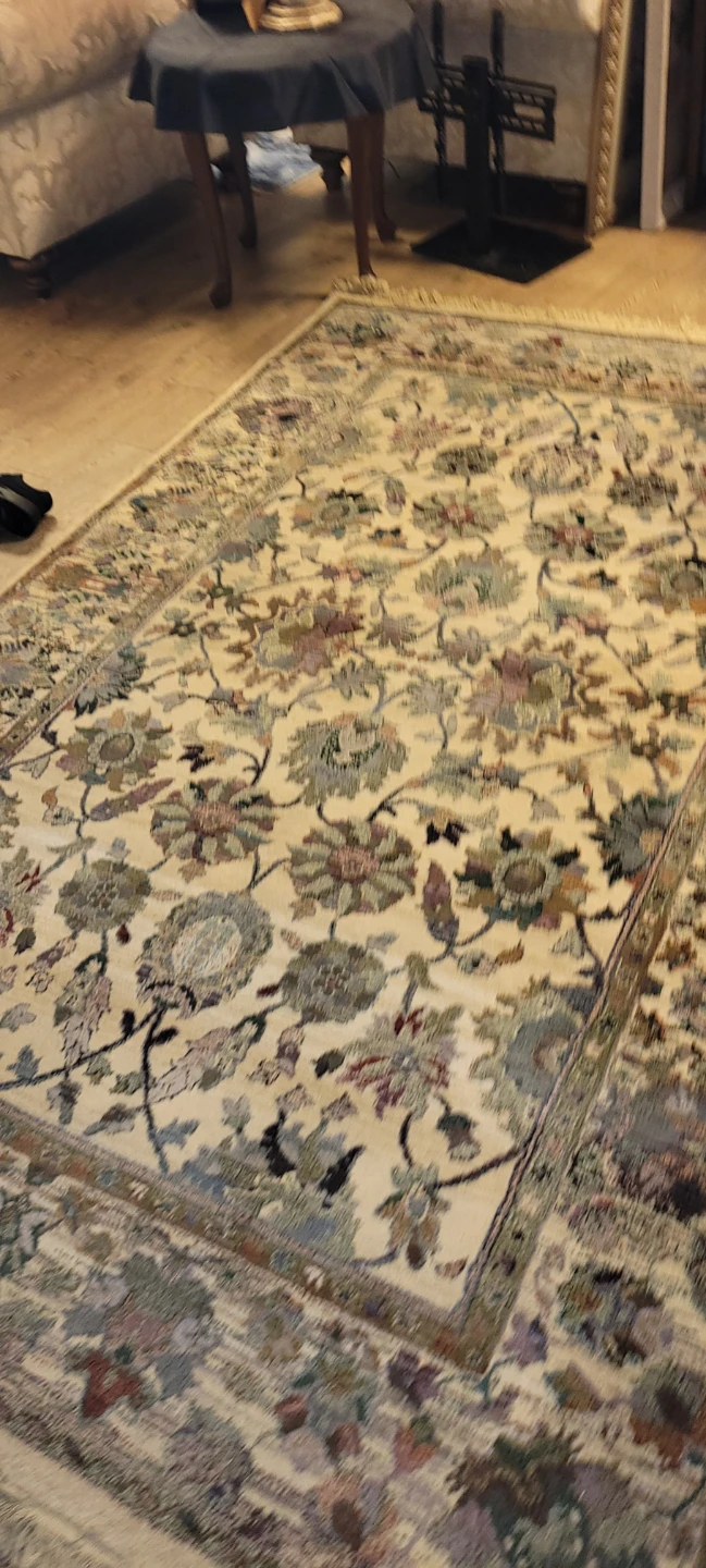 Persian-style Area Rug