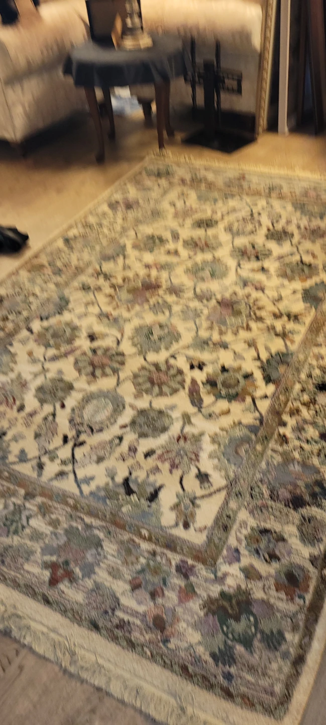 Persian-style Area Rug - photo 2