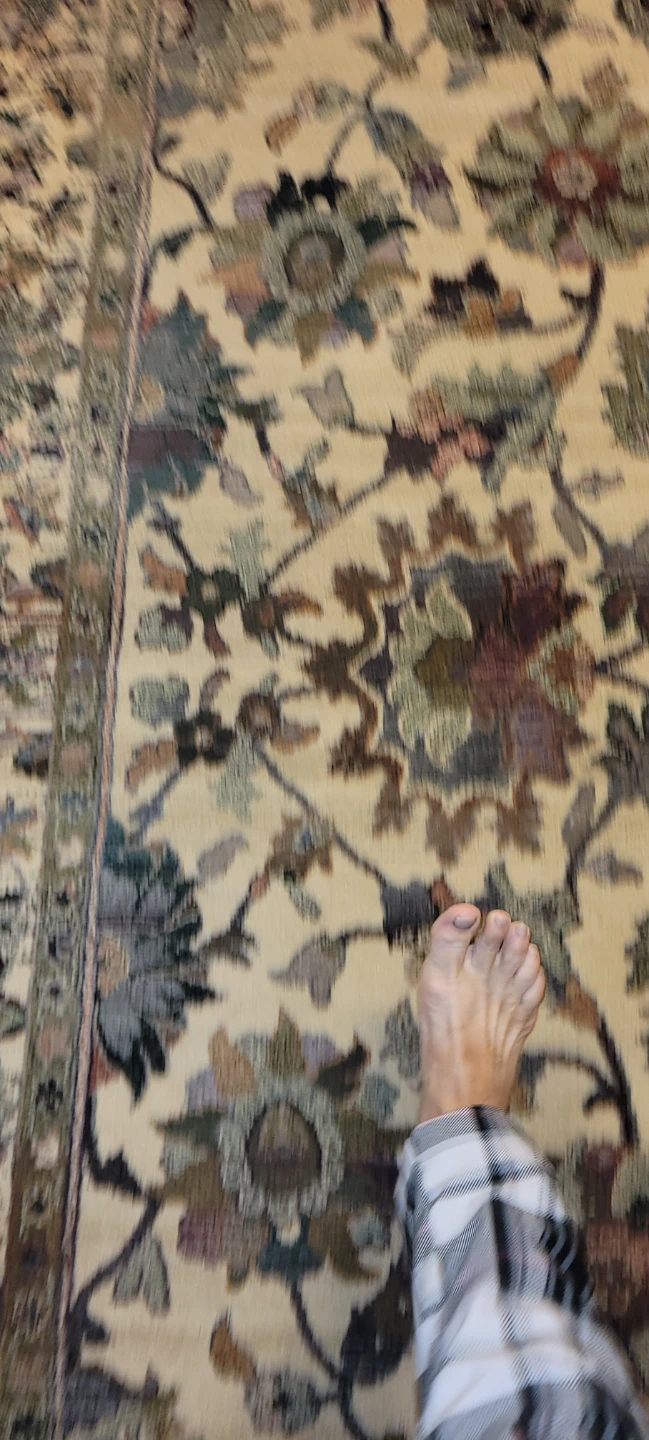 Persian-style Area Rug - photo 3