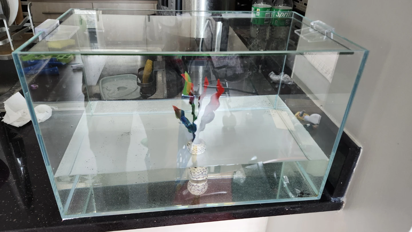 Clear rimless Glass Aquarium Tank