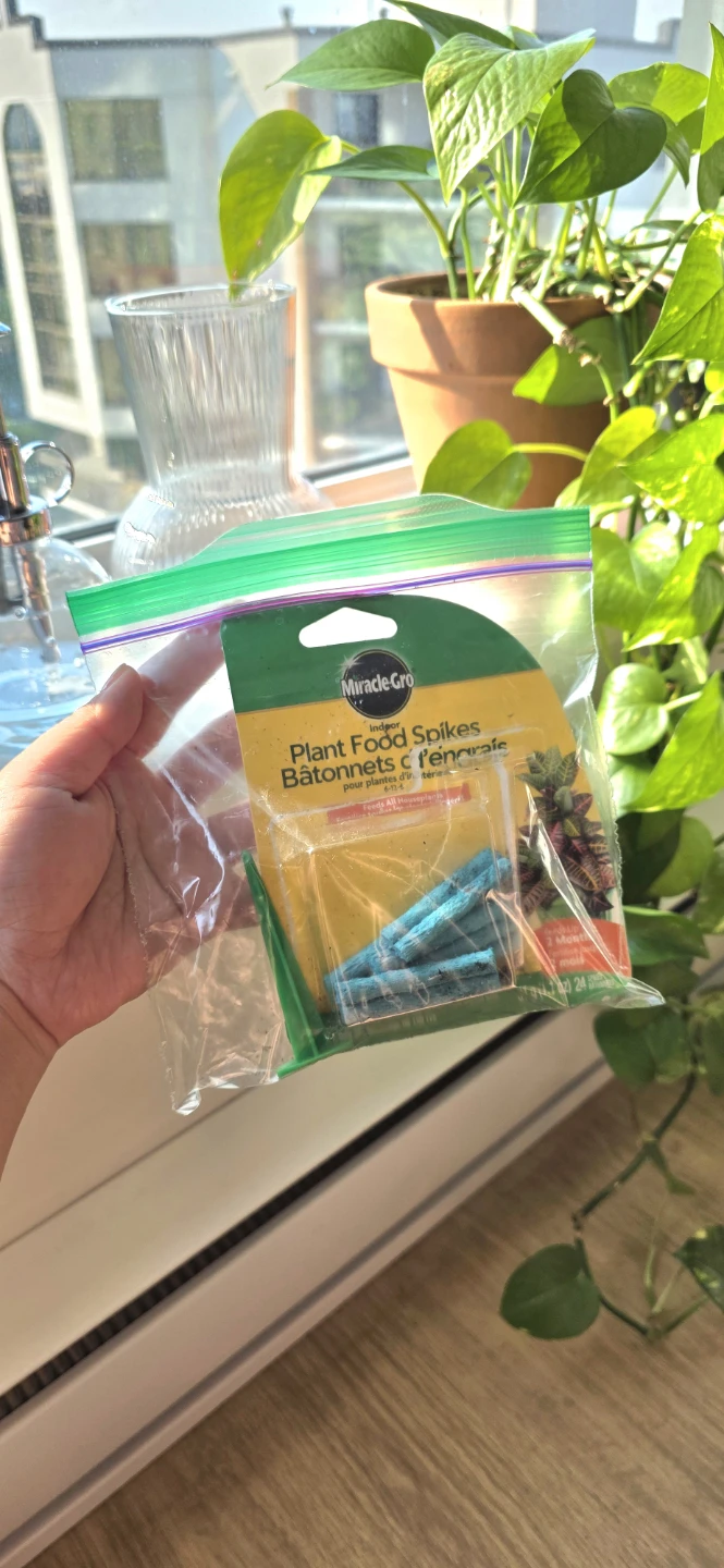 ​[Moving Sale] Houseplants & Indoor Plant Care Set - photo 3