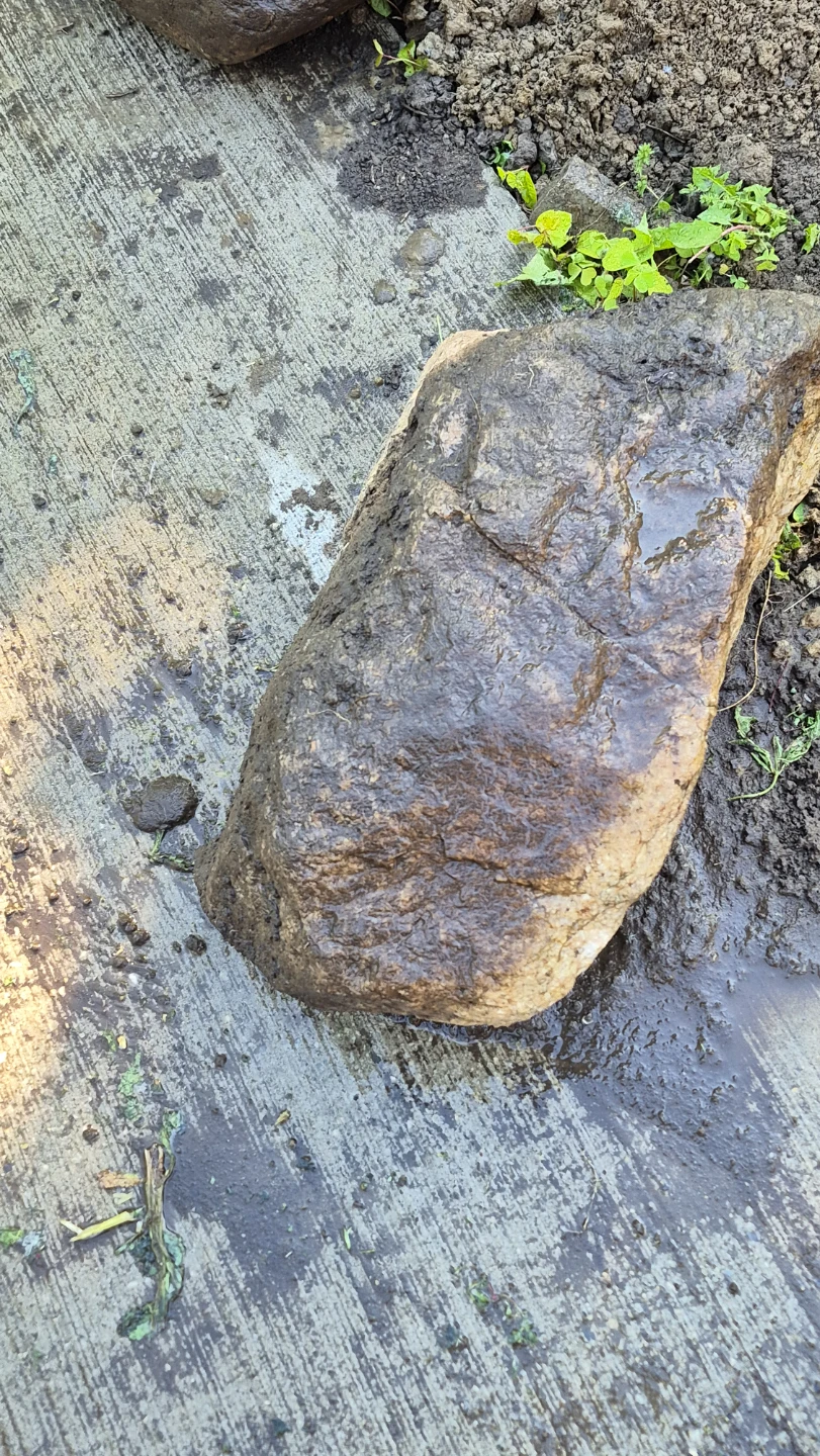 Decorative  natural l Garden Rocks for Landscaping - photo 3