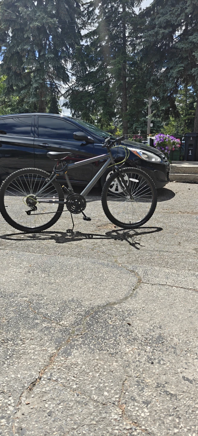 Mountain Bike