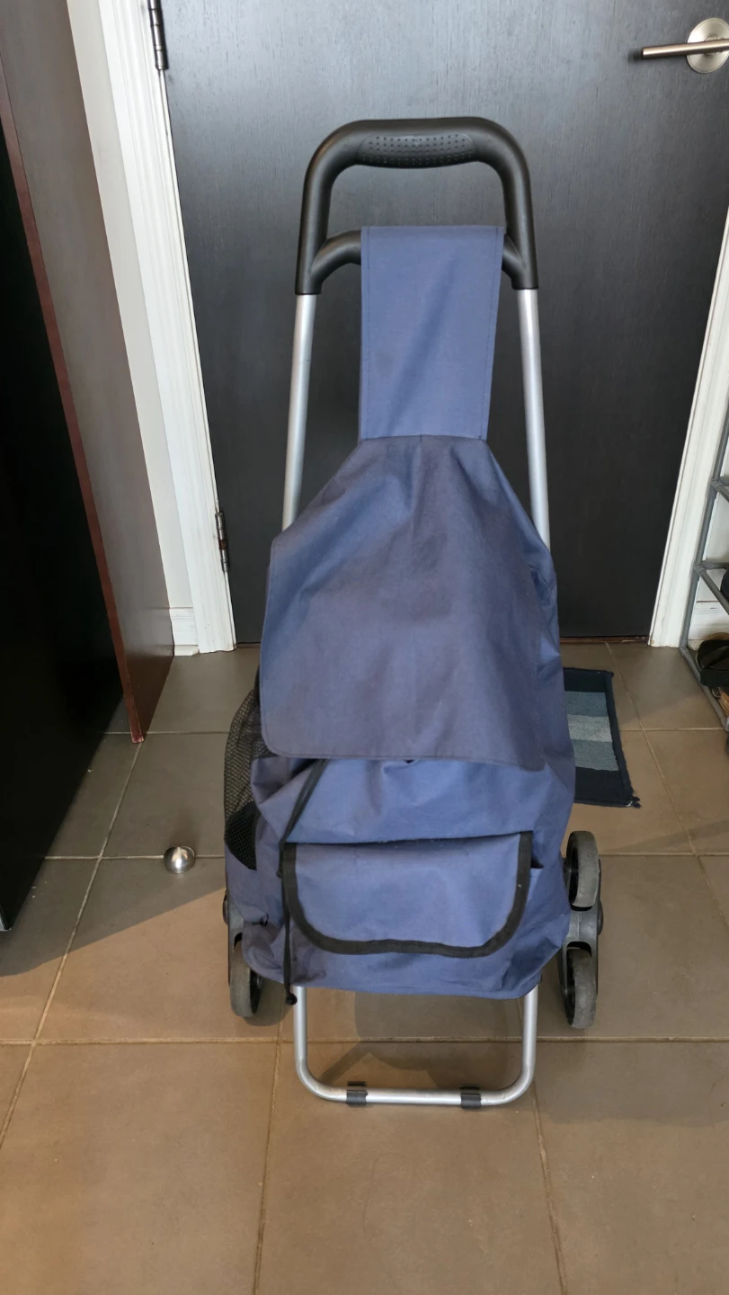 Blue Stair Climber Shopping Cart