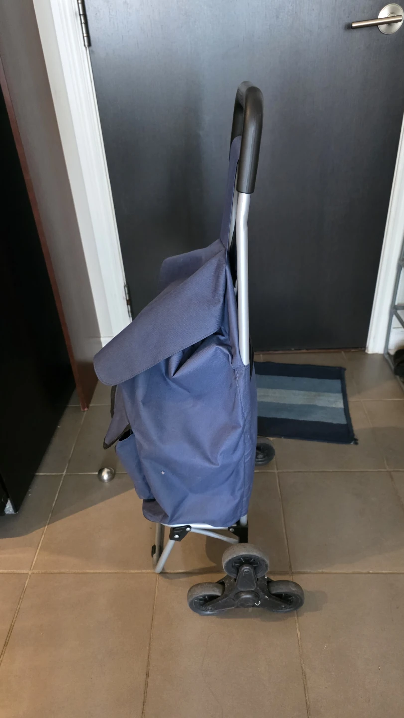 Blue Stair Climber Shopping Cart - photo 2
