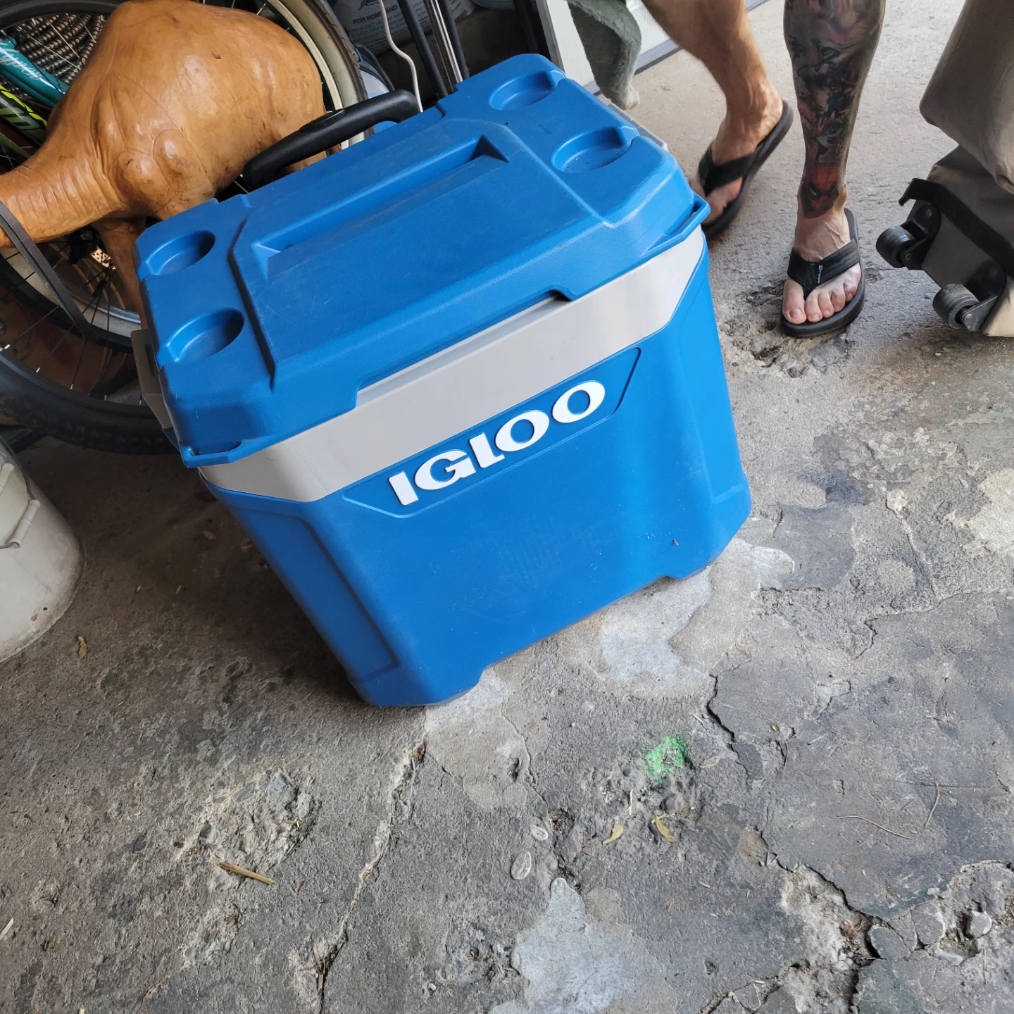 Igloo cooler 56L