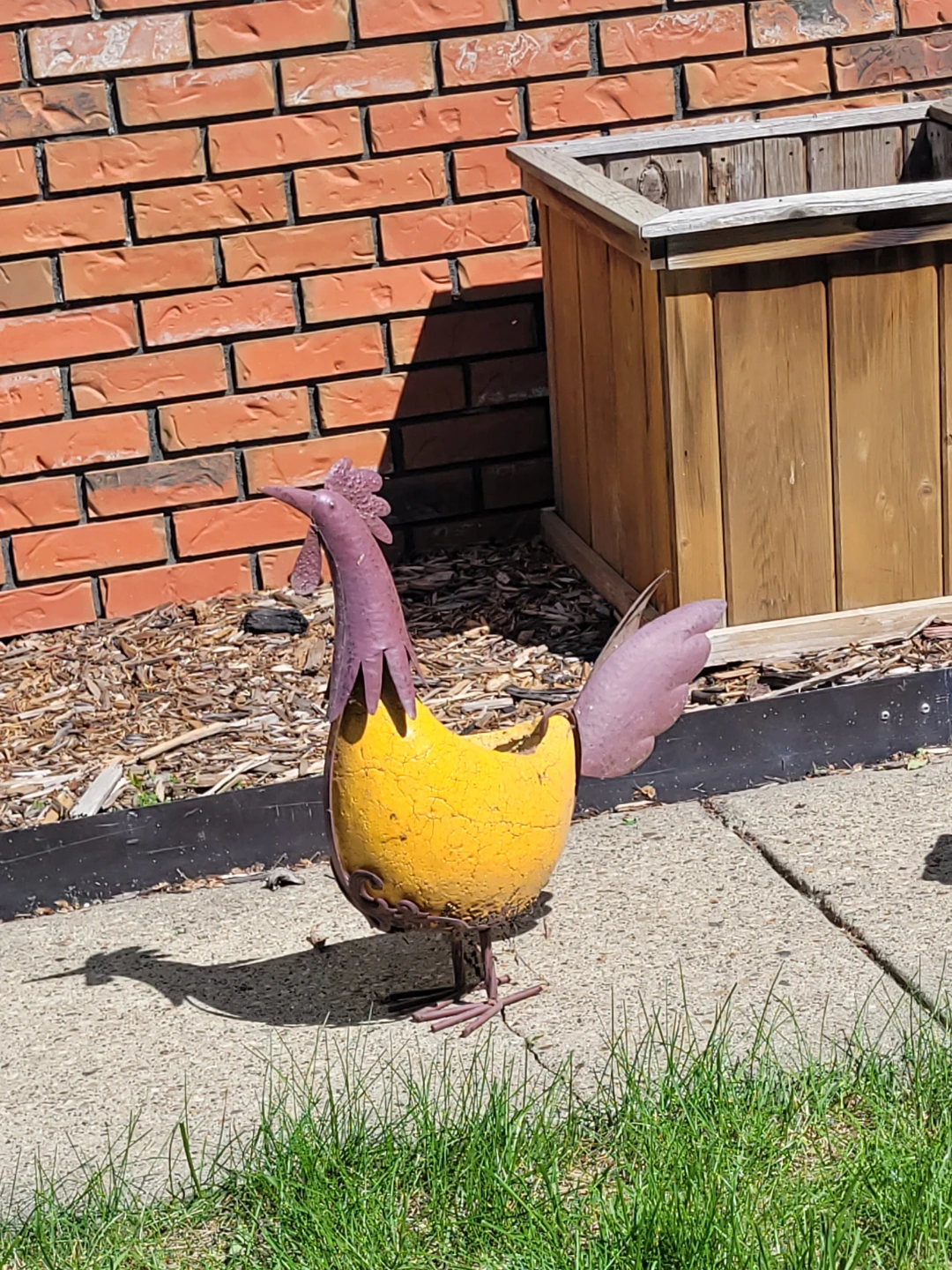 Yellow Metal Chicken Planter
