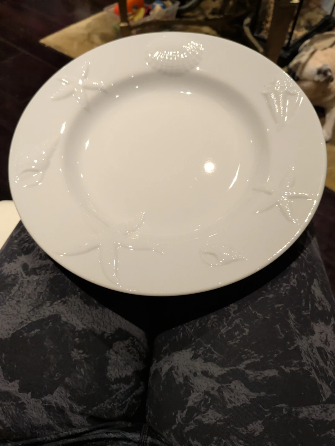 Pottery Barn Seashore Plate 12 pieces - photo 3